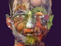 051-OpTiK.jpg